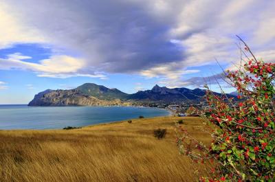 Прикрепленное изображение: _DSC7385 (Копировать).JPG